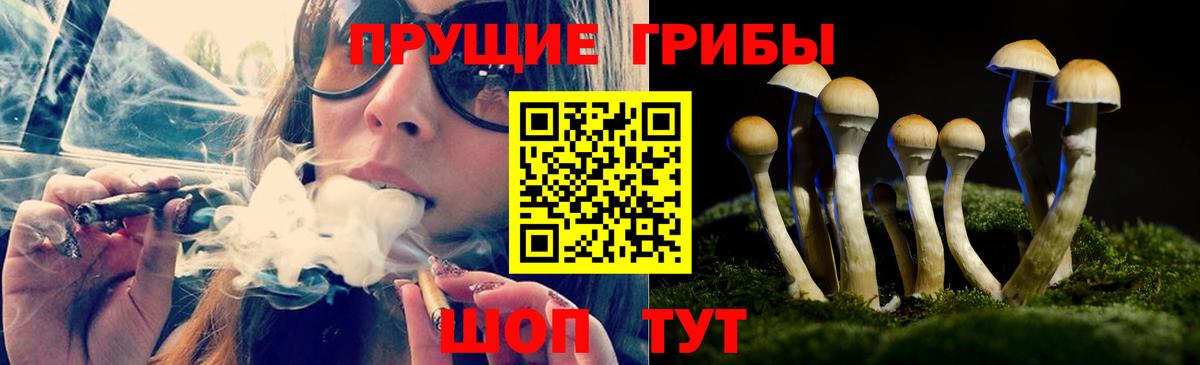 Галлюциногенные грибы прущие грибы  Вход с VPN  Ковров 